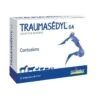 Traumasedyl GA 12x5ml -Magasin De Fournitures Pour Animaux De Compagnie traumasedyl 12amp dogteur