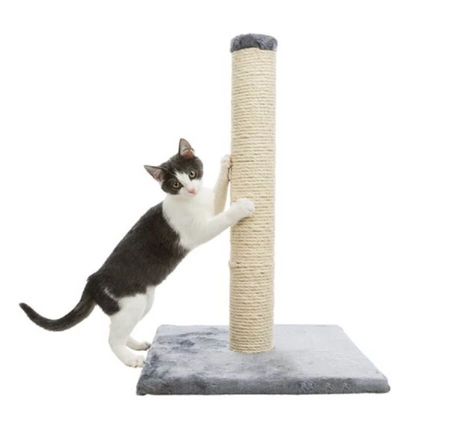 Trixie Poteau Griffoir Parla Gris Pour Chat 62 Cm 4 Trixie Poteau Griffoir Parla Gris Pour Chat 62 Cm – Image 2