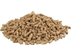 Versele Laga GOLD 4 Gallico Pellet 5 Kg 7 Versele Laga GOLD 4 Gallico Pellet 5 Kg -Magasin De Fournitures Pour Animaux De Compagnie versele laga gold 4 gallico pellet 5 kg3
