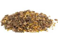 Versele Laga Gold 4 Mini Mix Poules Naines 20 Kg 7 Versele Laga Gold 4 Mini Mix Poules Naines 20 Kg -Magasin De Fournitures Pour Animaux De Compagnie versele laga gold 4 mini mix pour poules naines 5 kg3 2 2 1