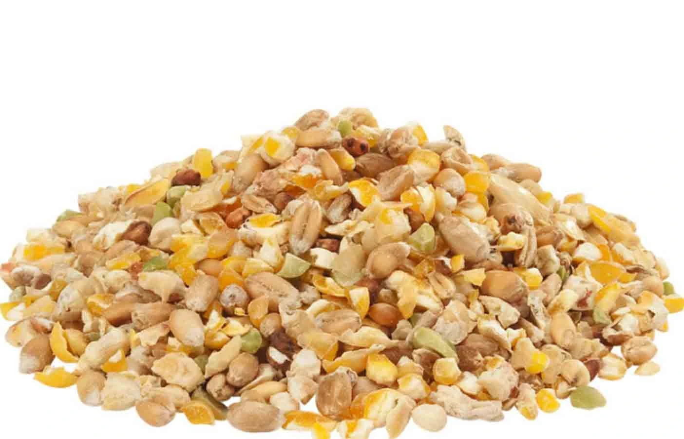 Versele Laga GRA-MIX Mélange Poules & Faisans 20 Kg 4 Versele Laga GRA-MIX Mélange Poules & Faisans 20 Kg – Image 2