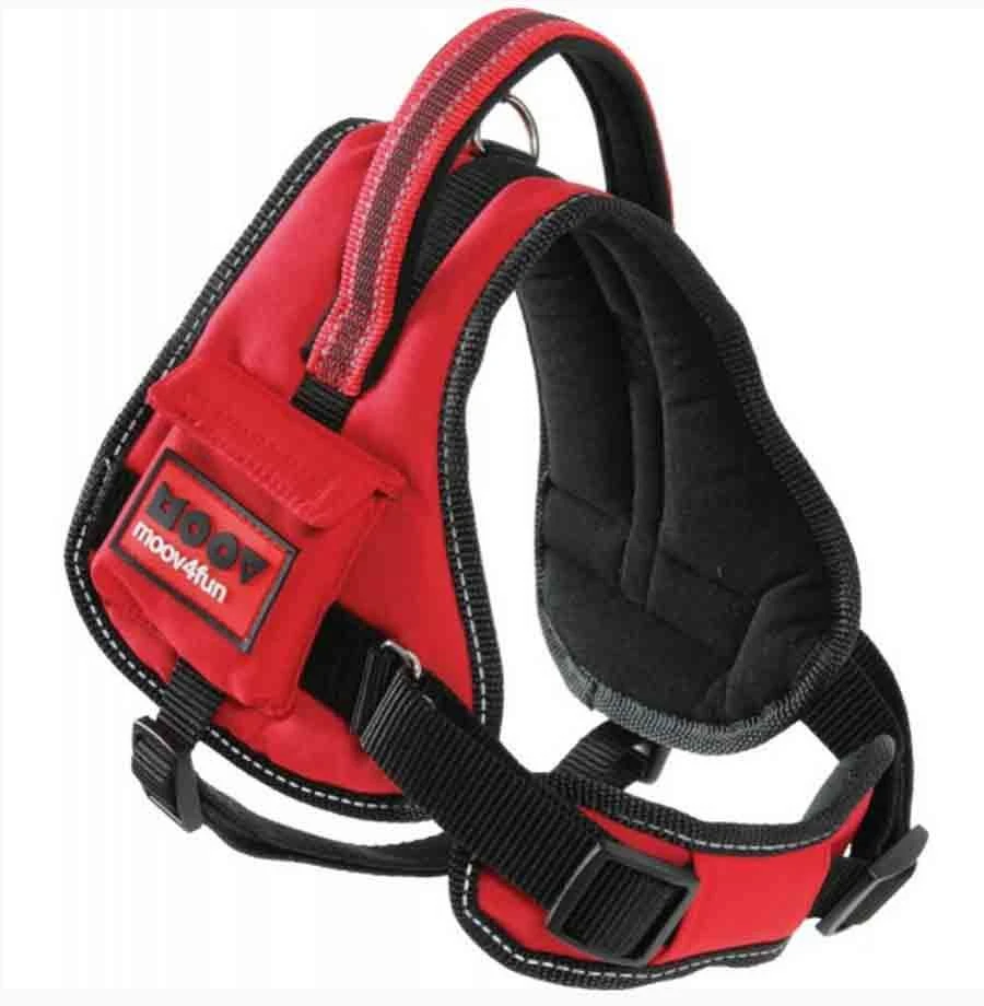 Zolux Harnais Confort Réglable MOOV Rouge L 7 Zolux Harnais Confort Réglable MOOV Rouge L – Image 5