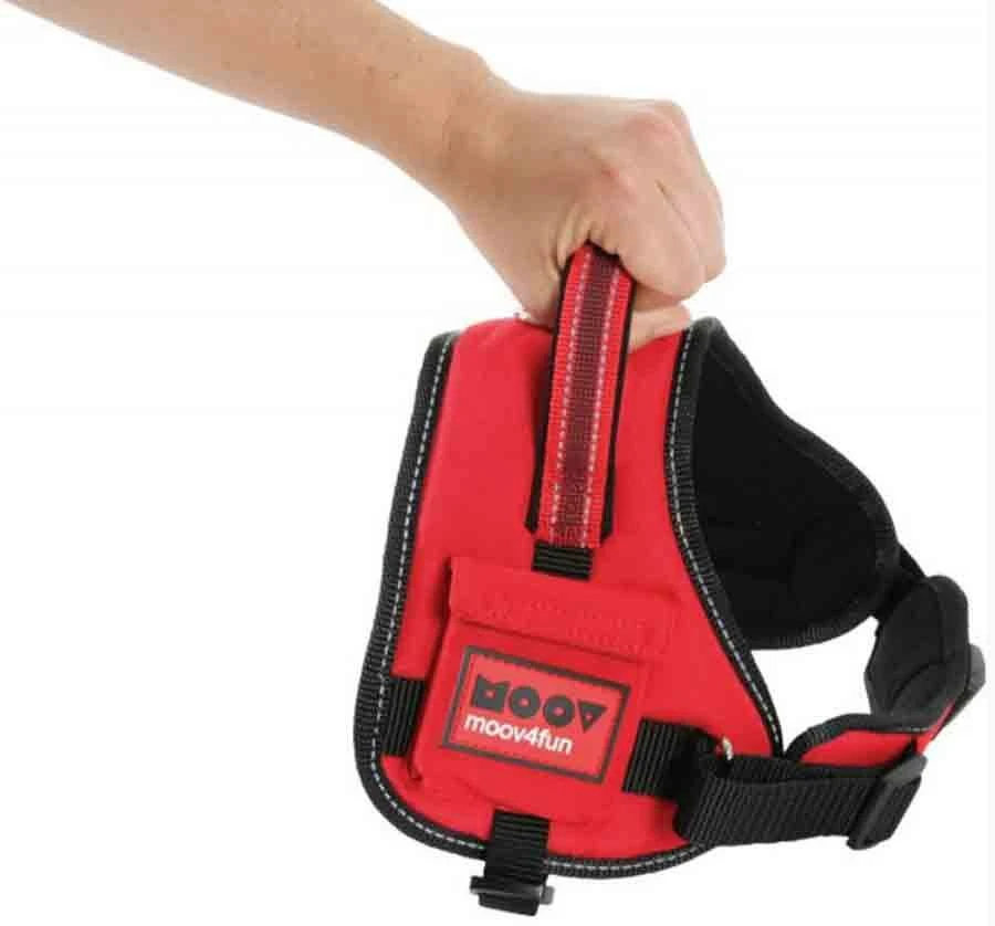 Zolux Harnais Confort Réglable MOOV Rouge L 8 Zolux Harnais Confort Réglable MOOV Rouge L – Image 6