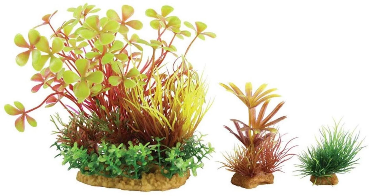 Zolux Plantkit Wiha N°4 4 Zolux Plantkit Wiha N°4 – Image 2